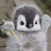 Zichen Ding's profile picture