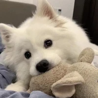 Terrence's profile picture