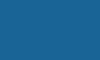MedVisionNet